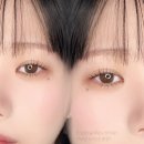 활짝핀 속눈썹 이미지