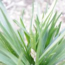 꽃집민박 이미지