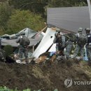 강진-35 이미지