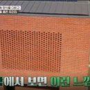 테네로