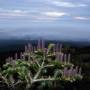 반도하숙 이미지