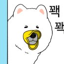으뜸플러스안경 포항오천점 이미지