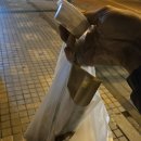 양주 &#39;1번지통닭 덕정점&#39; 옛날통닭 한마리 + 닭똥집튀김 포장 내돈내산 후기