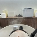 501 미장원 | 부천 클리닉잘하는곳 501미장원 역곡점 도아 디자이너 아윤채 모발클리닉 후기