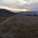 노을들녘 이미지