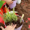 마분공원 이미지