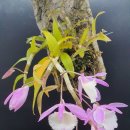 두진농장 이미지