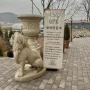 꿀강아지 테리하우스 | 남양주 별내 크리스마스 분위기 카페 “하우스용암” 내돈내산 후기