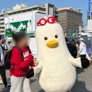 부기먼트