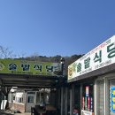 [안동 하회마을 맛집 - 하회 솔밭식당]