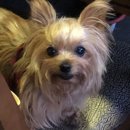 신니보건지소 이미지