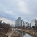 새삼성약국 | 안양 아파트 추천｜비산삼성래미안 입지와 시세 분석