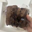 담은떡집 | 내돈내산 N번째 [회기 삼육서울병원 떡집 맛집 추천] 떡수궁 솔직후기