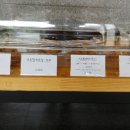 더느린제과점 이미지