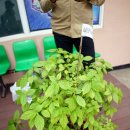 비양길100 이미지