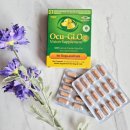 복실강아지 | 내돈내산 재구매템 : 백내장 예방 강아지눈영양제 오큐글로 캡슐 기호성 후기