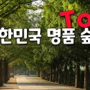 우리나라 대표 명품 숲길 7곳만 모아서 소개해 드리겠습니다. 이미지