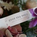 디자인텍 이미지