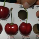 송광농장 이미지