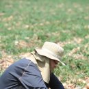 요셉 농장 이미지