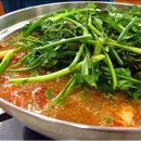 유진정 Daum카페