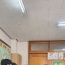 명인초 이미지