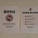 경남카인테리어 | (경남/진주)진주신상카페｜브런치카페 카페오엠버 반려동물동반가능 후기