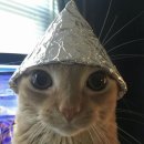 히카