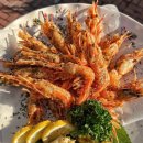 영덕해산물 | 독도새우부터 영덕대게까지! 포항 해산물 끝판왕 조새호 영일대점 후기