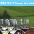코리아나 투어 서비스 이미지