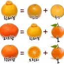 오부자농장 이미지