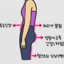 헬썸짐 이미지