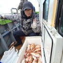 피싱랜드 이미지