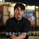 알프스안경 이미지