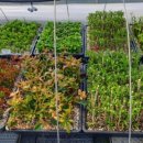 나눔농원 이미지