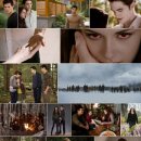 대치2-115 | 영화: 브레이킹 던 part 2 (2012) 정보 출연진 줄거리, 결말,추천 이유,감상평 OST 목록 예고편