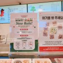 중로2-복1,2 | 크리스피도넛 1+1 크리스피크림도넛 복받으란말 후기