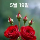 화요일 Daum카페