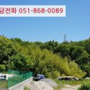 양덕동113 이미지