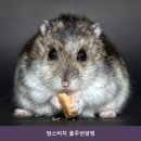 맘스터치언양점