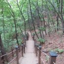 송악산 숲길 이미지