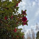 백운체력단련장 이미지