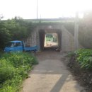용당1리 Daum카페