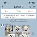 헬로우 그루밍 이미지