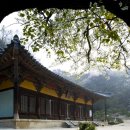 11215-구의2-자투리땅제17호1 | 영주 부석사 (浮石寺) 입니다