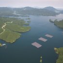 유기 태양광발전소 이미지