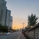 너구리포차 이미지