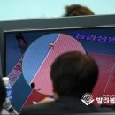 인아웃코리아 발리볼코리아