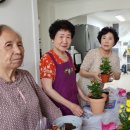 힐링 꽃꽃이 이미지