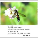 믿음